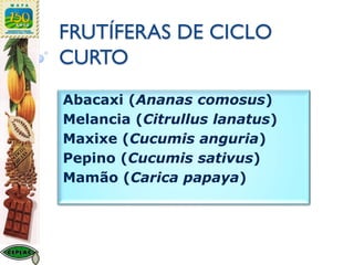 FRUTÍFERAS DE CICLO
CURTO
Abacaxi (Ananas comosus)
Melancia (Citrullus lanatus)
Maxixe (Cucumis anguria)
Pepino (Cucumis sativus)
Mamão (Carica papaya)
 