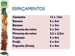 ESPAÇAMENTOS
Castanha 12 x 12m
Banana 6 x 6m
Banana 3 x 3m
Pimenta-do-reino 6 x 2m
Pimenta-do-reino 2,5 x 2,5m
Cupuaçú 6 x 6m
Freijó 6 x 6m
Pupunha (fruta) 6 x 6m
 