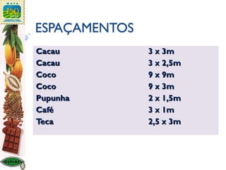 ESPAÇAMENTOS
Cacau 3 x 3m
Cacau 3 x 2,5m
Coco 9 x 9m
Coco 9 x 3m
Pupunha 2 x 1,5m
Café 3 x 1m
Teca 2,5 x 3m
 