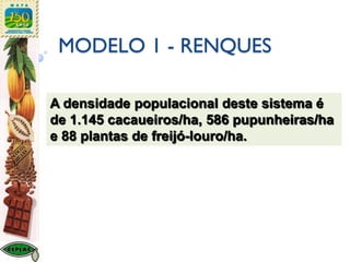 MODELO 1 - RENQUES
A densidade populacional deste sistema é
de 1.145 cacaueiros/ha, 586 pupunheiras/ha
e 88 plantas de freijó-louro/ha.
 