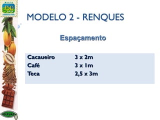 MODELO 2 - RENQUES
Cacaueiro 3 x 2m
Café 3 x 1m
Teca 2,5 x 3m
Espaçamento
 