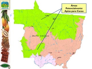 Áreas
Potencialmente
Aptas para Cacau
 