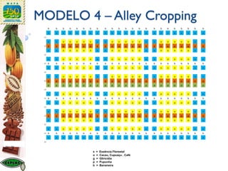 MODELO 4 – Alley Cropping
6m x 3m
x = Essência Florestal
o = Cacau, Cupuaçu , Café
g = Gliricídia
p = Pupunha
b = Bananeira
b b b b b b b b b b b b b b b b b b b b b b b
x x x x x x x x x x x x x x x x x x x x x x x
2,5
x x o o o o o x x o o o o o x x o o o o o x x
2,5 g g g g g g g g g g g g g g g g g g g g g g g
x x o o o o o x x o o o o o x x o o o o o x x
2,5
x x o o o o o x x o o o o o x x o o o o o x x
2,5 b b b b b b b b b b b b b b b b b b b b b b b
x x o o o o o x x o o o o o x x o o o o o x x
2,5
x x o o o o o x x o o o o o x x o o o o o x x
2,5 g g g g g g g g g g g g g g g g g g g g g g g
p p p p p p p p p p p p p p p p p p p p p p p
2,5
x x o o o o o x x o o o o o x x o o o o o x x
2,5 b b b b b b b b b b b b b b b b b b b b b b b
x x o o o o o x x o o o o o x x o o o o o x x
2,5
x x o o o o o x x o o o o o x x o o o o o x x
2,5 g g g g g g g g g g g g g g g g g g g g g g g
x x o o o o o x x o o o o o x x o o o o o x x
2,5
x x o o o o o x x o o o o o x x o o o o o x x
2,5 b b b b b b b b b b b b b b b b b b b b b b b
x x x x x x x x x x x x x x x x x x x x x x x
2,5
 