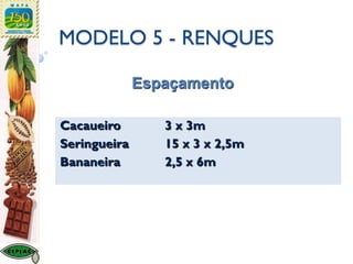 MODELO 5 - RENQUES
Cacaueiro 3 x 3m
Seringueira 15 x 3 x 2,5m
Bananeira 2,5 x 6m
Espaçamento
 