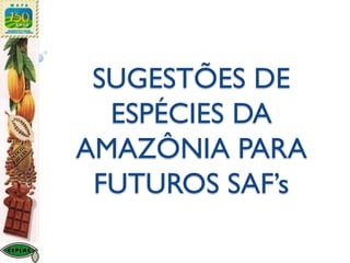 SUGESTÕES DE
ESPÉCIES DA
AMAZÔNIA PARA
FUTUROS SAF’s
 