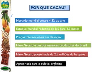 Mercado mundial cresce 4-5% ao ano
Estoque mundial reduzido de 8,6 para 4,9 meses
Preços internacionais em elevação
Mato Grosso é um dos menores produtores do Brasil
Mato Grosso possui mais de 2,5 milhões de ha aptos
POR QUE CACAU?
Apropriada para o cultivo orgânico
 