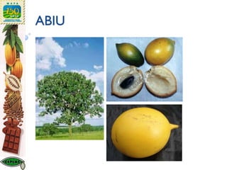 ABIU
 