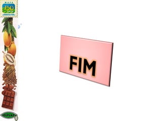 Sistemas agroflorestais com cacau