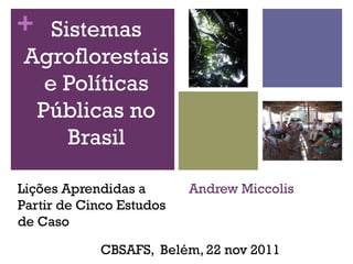 + Sistemas
Agroflorestais
  e Políticas
 Públicas no
    Brasil

Lições Aprendidas a       Andrew Miccolis
Partir de Cinco Estudos
de Caso

            CBSAFS, Belém, 22 nov 2011
 