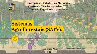 Sistemas
Agroflorestais (SAF’s).
Palestrante: Daniel Sant’s
Universidade Estadual do Maranhão
Centro de Ciências Agrárias- CCA
Curso de Engenharia Agronômica
São Luís(MA)
2021
 