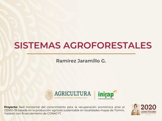 SISTEMAS AGROFORESTALES
Ramírez Jaramillo G.
Proyecto: Red horizontal del conocimiento para la recuperación económica ante el
COVID-19 basada en la producción agrícola sustentable en localidades mayas de Tizimín,
Yucatán con financiamiento de CONACYT.
 