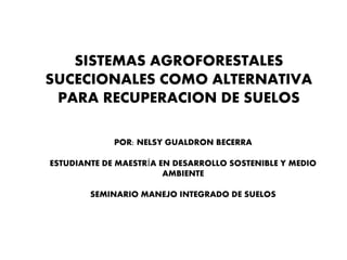 SISTEMAS AGROFORESTALES
SUCECIONALES COMO ALTERNATIVA
 PARA RECUPERACION DE SUELOS

             POR: NELSY GUALDRON BECERRA

ESTUDIANTE DE MAESTRÍA EN DESARROLLO SOSTENIBLE Y MEDIO
                        AMBIENTE

        SEMINARIO MANEJO INTEGRADO DE SUELOS
 