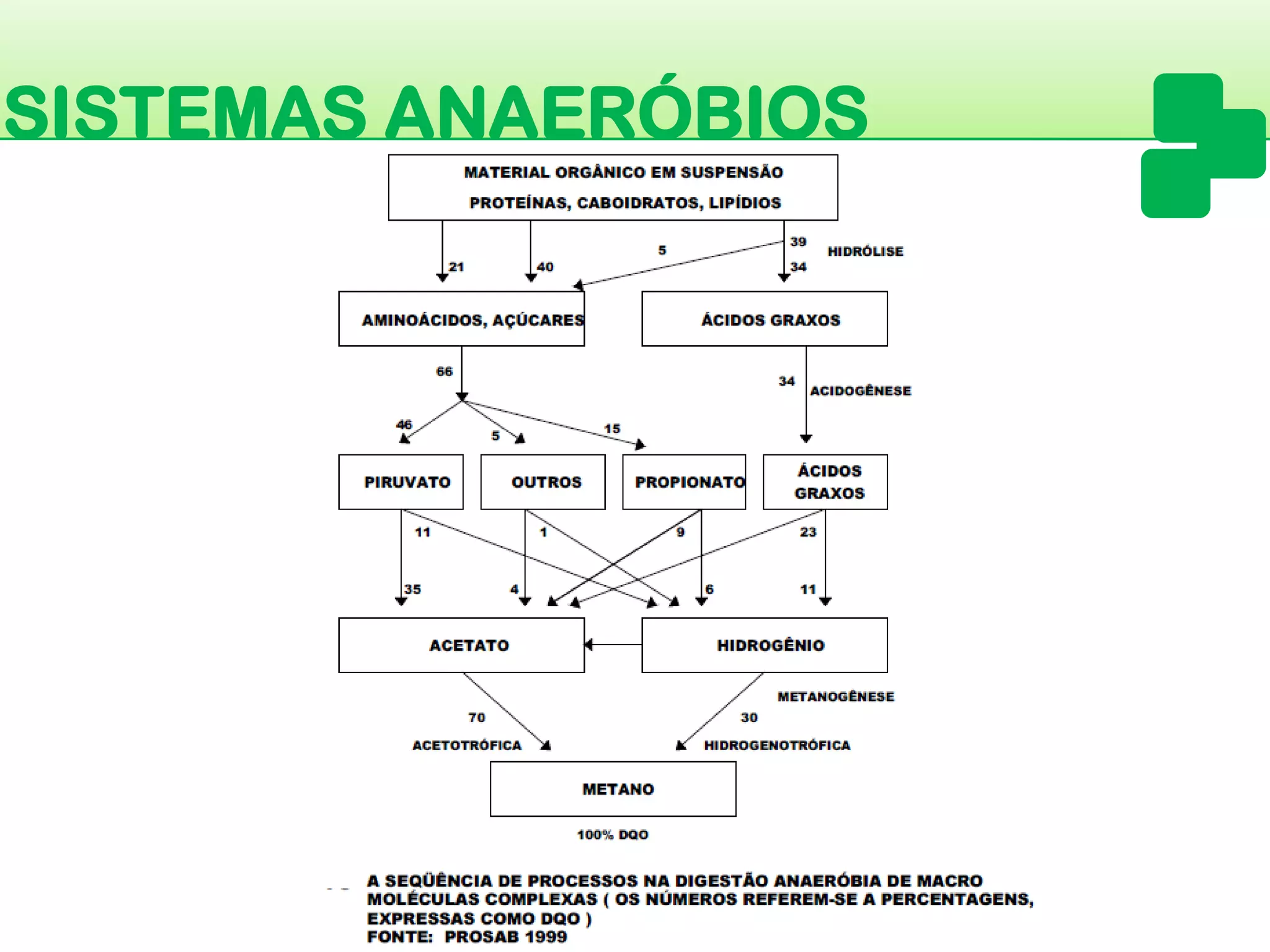 SISTEMAS ANAERÓBIOS  