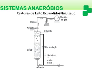 SISTEMAS ANAERÓBIOS 
Reatores de Leito Expandido/Fluidizado  