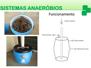 SISTEMAS ANAERÓBIOS 
Funcionamento  