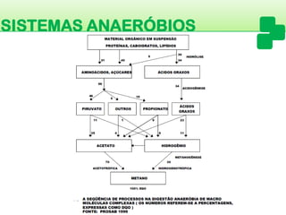 SISTEMAS ANAERÓBIOS  