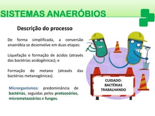 CUIDADO: 
BACTÉRIAS TRABALHANDO 
SISTEMAS ANAERÓBIOS 
Descrição do processo 
Deformasimplificada,aconversãoanaeróbiasedesenvolveemduasetapas: 
Liquefaçãoeformaçãodeácidos(atravésdasbactériasacidogênicas);e 
Formaçãodemetano(atravésdasbactériasmetanogênicas). 
Microrganismos:predominânciadebactérias,seguidaspelosprotozoários, micrometazoáriosefungos.  