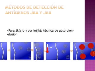 •Para Jk(a-b-) por In(jk): técnica de absorciónelusión

 