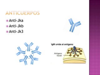  Anti-Jka
 Anti-Jkb
 Anti-Jk3

 