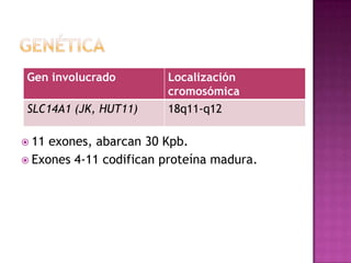 Gen involucrado
SLC14A1 (JK, HUT11)
 11

Localización
cromosómica
18q11-q12

exones, abarcan 30 Kpb.
 Exones 4-11 codifican proteína madura.

 