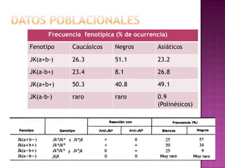Frecuencia fenotípica (% de ocurrencia)
Fenotipo

Caucásicos

Negros

Asiáticos

JK(a+b-)

26.3

51.1

23.2

JK(a-b+)

23.4

8.1

26.8

JK(a+b+)

50.3

40.8

49.1

JK(a-b-)

raro

raro

0.9
(Polinésicos)

 