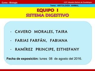 - CAVERO MORALES, TAIRA
- FARIAS FARFÁN, FABIANA
- RAMÍREZ PRINCIPE, ESTHEFANY
Fecha de exposición: lunes 08 de agosto del 2016.
Curso : Biología
Tema: HISTOLOGÍA ANIMAL
I.E.P «Nuestra Señora de Guadalupe»
 