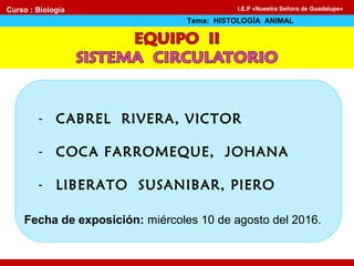- CABREL RIVERA, VICTOR
- COCA FARROMEQUE, JOHANA
- LIBERATO SUSANIBAR, PIERO
Fecha de exposición: miércoles 10 de agosto del 2016.
Curso : Biología
Tema: HISTOLOGÍA ANIMAL
I.E.P «Nuestra Señora de Guadalupe»
 