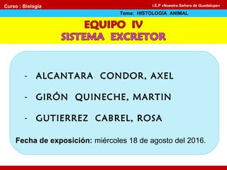 - ALCANTARA CONDOR, AXEL
- GIRÓN QUINECHE, MARTIN
- GUTIERREZ CABREL, ROSA
Fecha de exposición: miércoles 18 de agosto del 2016.
Curso : Biología
Tema: HISTOLOGÍA ANIMAL
I.E.P «Nuestra Señora de Guadalupe»
 