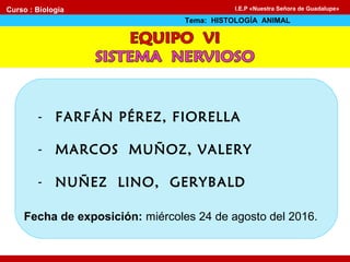 - FARFÁN PÉREZ, FIORELLA
- MARCOS MUÑOZ, VALERY
- NUÑEZ LINO, GERYBALD
Fecha de exposición: miércoles 24 de agosto del 2016.
Curso : Biología
Tema: HISTOLOGÍA ANIMAL
I.E.P «Nuestra Señora de Guadalupe»
 