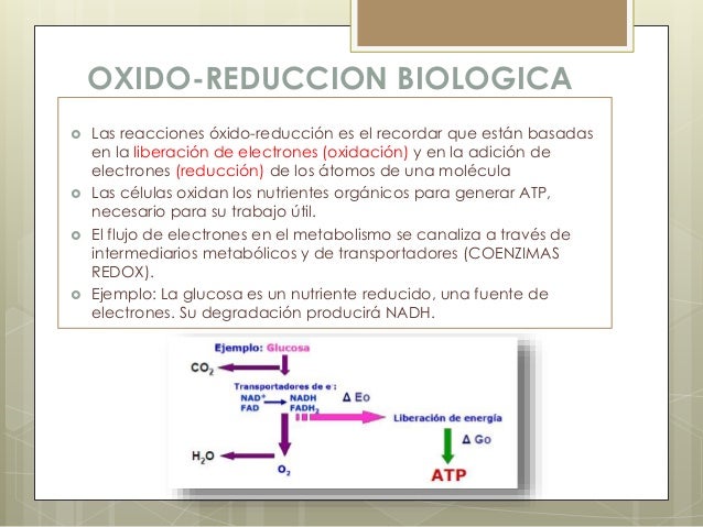 OXIDO-REDUCCION BIOLOGICA
 Las reacciones óxido-reducción es el recordar que están basadas
en la liberación de electrones...