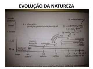 EVOLUÇÃO DA NATUREZA 
 