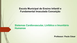 Escola Municipal de Ensino Infantil e
Fundamental Imaculada Conceição
Sistemas Cardiovascular, Linfático e Imunitário
Humanos
Professor: Paulo César
 