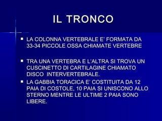 IL TRONCOIL TRONCO
 LA COLONNA VERTEBRALE E’ FORMATA DALA COLONNA VERTEBRALE E’ FORMATA DA
33-34 PICCOLE OSSA CHIAMATE VERTEBRE33-34 PICCOLE OSSA CHIAMATE VERTEBRE
 TRA UNA VERTEBRA E L’ALTRA SI TROVA UNTRA UNA VERTEBRA E L’ALTRA SI TROVA UN
CUSCINETTO DI CARTILAGINE CHIAMATOCUSCINETTO DI CARTILAGINE CHIAMATO
DISCO INTERVERTEBRALE.DISCO INTERVERTEBRALE.
 LA GABBIA TORACICA E’ COSTITUITA DA 12LA GABBIA TORACICA E’ COSTITUITA DA 12
PAIA DI COSTOLE, 10 PAIA SI UNISCONO ALLOPAIA DI COSTOLE, 10 PAIA SI UNISCONO ALLO
STERNO MENTRE LE ULTIME 2 PAIA SONOSTERNO MENTRE LE ULTIME 2 PAIA SONO
LIBERE.LIBERE.
 