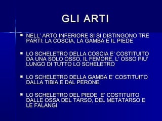 GLI ARTIGLI ARTI
 NELL’ ARTO INFERIORE SI SI DISTINGONO TRENELL’ ARTO INFERIORE SI SI DISTINGONO TRE
PARTI: LA COSCIA, LA GAMBA E IL PIEDEPARTI: LA COSCIA, LA GAMBA E IL PIEDE
 LO SCHELETRO DELLA COSCIA E’ COSTITUITOLO SCHELETRO DELLA COSCIA E’ COSTITUITO
DA UNA SOLO OSSO, IL FEMORE, L’ OSSO PIU’DA UNA SOLO OSSO, IL FEMORE, L’ OSSO PIU’
LUNGO DI TUTTO LO SCHELETROLUNGO DI TUTTO LO SCHELETRO
 LO SCHELETRO DELLA GAMBA E’ COSTITUITOLO SCHELETRO DELLA GAMBA E’ COSTITUITO
DALLA TIBIA E DAL PERONEDALLA TIBIA E DAL PERONE
 LO SCHELETRO DEL PIEDE E’ COSTITUITOLO SCHELETRO DEL PIEDE E’ COSTITUITO
DALLE OSSA DEL TARSO, DEL METATARSO EDALLE OSSA DEL TARSO, DEL METATARSO E
LE FALANGILE FALANGI
 