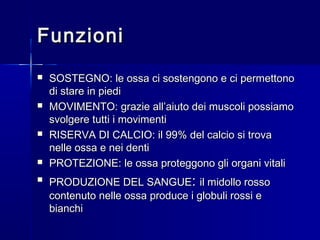 FunzioniFunzioni
 SOSTEGNO: le ossa ci sostengono e ci permettonoSOSTEGNO: le ossa ci sostengono e ci permettono
di stare in piedidi stare in piedi
 MOVIMENTO: grazie all’aiuto dei muscoli possiamoMOVIMENTO: grazie all’aiuto dei muscoli possiamo
svolgere tutti i movimentisvolgere tutti i movimenti
 RISERVA DI CALCIO: il 99% del calcio si trovaRISERVA DI CALCIO: il 99% del calcio si trova
nelle ossa e nei dentinelle ossa e nei denti
 PROTEZIONE: le ossa proteggono gli organi vitaliPROTEZIONE: le ossa proteggono gli organi vitali

PRODUZIONE DEL SANGUEPRODUZIONE DEL SANGUE:: il midollo rossoil midollo rosso
contenuto nelle ossa produce i globuli rossi econtenuto nelle ossa produce i globuli rossi e
bianchibianchi
 