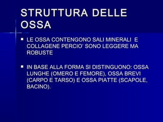 STRUTTURA DELLESTRUTTURA DELLE
OSSAOSSA
 LE OSSA CONTENGONO SALI MINERALI ELE OSSA CONTENGONO SALI MINERALI E
COLLAGENE PERCIO’ SONO LEGGERE MACOLLAGENE PERCIO’ SONO LEGGERE MA
ROBUSTEROBUSTE
 IN BASE ALLA FORMA SI DISTINGUONO: OSSAIN BASE ALLA FORMA SI DISTINGUONO: OSSA
LUNGHE (OMERO E FEMORE), OSSA BREVILUNGHE (OMERO E FEMORE), OSSA BREVI
(CARPO E TARSO) E OSSA PIATTE (SCAPOLE,(CARPO E TARSO) E OSSA PIATTE (SCAPOLE,
BACINO).BACINO).
 