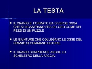 LA TESTALA TESTA
 IL CRANIO E’ FORMATO DA DIVERSE OSSAIL CRANIO E’ FORMATO DA DIVERSE OSSA
CHE SI INCASTRANO FRA DI LORO COME DEICHE SI INCASTRANO FRA DI LORO COME DEI
PEZZI DI UN PUZZLEPEZZI DI UN PUZZLE
 LE GIUNTURE CHE COLLEGANO LE OSSE DELLE GIUNTURE CHE COLLEGANO LE OSSE DEL
CRANIO SI CHIAMANO SUTURE.CRANIO SI CHIAMANO SUTURE.
 IL CRANIO COMPRENDE ANCHE LOIL CRANIO COMPRENDE ANCHE LO
SCHELETRO DELLA FACCIA.SCHELETRO DELLA FACCIA.
 