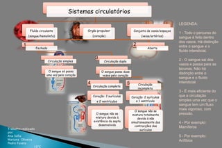Sistemas circulatórios
                                                                                                                 LEGENDA:
              Fluído circulante                  Orgão propulsor                     Conjunto de vasos/espaços
                                                                                                                 1 - Todo o percurso do
             (sangue/hemolinfa)                      (coração)                             (veias/artérias)      sangue é feito dentro
                                                                                                                 dos vasos. Há distinção
         1                                                                           2                           entre o sangue e o
                  Fechado                                                                      Aberto
                                                                                                                 fluído intersticial.
                                                      3                                                          2 - O sangue sai dos
                            Circulação simples               Circulação dupla
                                                                                                                 vasos e passa para as
                                                                                                                 lacunas. Não há
                           O sangue só passa               O sangue passa duas
                          uma vez pelo coração
                                                                                                                 distinção entre o
                                                            vezes pelo coração
                                                                                                                 sangue e o fluído
                                                 4                              5                                intersticial.
                                                                                         Circulação
                                                     Circulação completa
                                                                                         incompleta
                                                                                                                 3 - É mais eficiente do
                                                     Coração: 2 aurículas           Coração: 2 aurículas         que a circulação
                                                       e 2 ventrículos                 e 1 ventrículo            simples uma vez que o
                                                                                                                 sangue tem um fluxo
                                                                                      O sangue não se
                                                                                                                 mais vigoroso, com
                                                      O sangue não se                mistura totalmente          pressão.
                                                      mistura devido à                  devido à não
                                                     existência do septo            simultaneamente das          4 - Por exemplo:
                                                        desenvolvido                  contracções das
Trabalho realizado
                                                                                                                 Mamíferos
                                                                                          aurículas
por:
Ana Sofia                                                                                                        5 - Por exemplo:
Mariana Oliveira                                                                                                 Anfíbios
Pedro Fuseta
                 10ºC
 