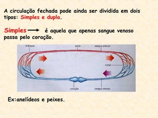 A circulação fechada pode ainda ser dividida em dois
tipos: Simples e dupla.
Simples é aquela que apenas sangue venoso
passa pelo coração.
Ex:anelídeos e peixes.
 