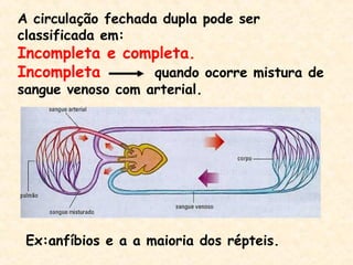 A circulação fechada dupla pode ser
classificada em:
Incompleta e completa.
Incompleta quando ocorre mistura de
sangue venoso com arterial.
Ex:anfíbios e a a maioria dos répteis.
 