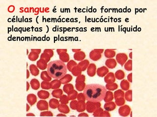 O sangue é um tecido formado por
células ( hemáceas, leucócitos e
plaquetas ) dispersas em um líquido
denominado plasma.
 