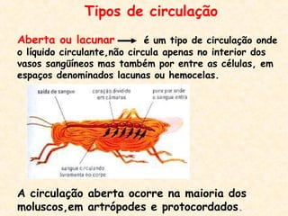 Tipos de circulação
Aberta ou lacunar é um tipo de circulação onde
o líquido circulante,não circula apenas no interior dos
vasos sangüíneos mas também por entre as células, em
espaços denominados lacunas ou hemocelas.
A circulação aberta ocorre na maioria dos
moluscos,em artrópodes e protocordados.
 