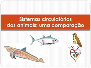 Sistemas circulatórios
dos animais: uma comparação
 