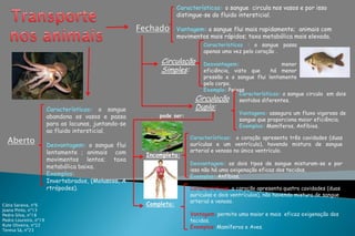 Características:o sangue  circula nos vasos e por isso distingue-se do fluido intersticial. Vantagem: osangue flui mais rapidamente;  animais com movimentos mais rápidos; taxa metabólica mais elevada. Transporte nos animaisFechadoCaracterísticas :o sangue passa apenas uma vez pelo coração . Desvantagem:menor eficiência, visto que  há menor pressão e o sangue flui lentamente pelo corpo. Exemplo:Peixes CirculaçãoSimples:Características:o sangue circula  em dois sentidos diferentes. Vantagens:assegura um fluxo vigoroso de sangue que proporciona maior eficiência. Exemplos:Mamíferos, Anfíbios. CirculaçãoDupla: Características: o sangue abandona os vasos e passa para as lacunas, juntando-se ao fluido intersticial. Desvantagem: o sangue flui  lentamente ; animais  com movimentos lentos; taxa metabólica baixa.Exemplos:Invertebrados, (Moluscos, Artrópodes). pode ser:Características: o coração apresenta três cavidades (duas aurículas e um ventrículo), havendo mistura de sangue arterial e venoso no único ventrículo. Desvantagem: os dois tipos de sangue misturam-se e por isso não há uma oxigenação eficaz dos tecidos. Exemplos:Anfíbios. AbertoIncompleta:Características: o coração apresenta quatro cavidades (duas aurículas e dois ventrículos), não havendo mistura de sangue arterial e venoso. Vantagem: permite uma maior e mais  eficaz oxigenação dos tecidos. Exemplos:Mamíferos e Aves. Completa:Cátia Saraiva, nº6Joana Pinto, nº13Pedro Silva, nº18Pedro Loureiro, nº19Rute Oliveira, nº22Teresa Sá, nº23