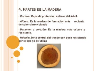 4. PARTES DE LA MADERA
• Corteza: Capa de protección externa del árbol.
• Albura: Es la madera de formación más reciente
de color claro y blando
• Duramen o corazón: Es la madera más oscura y
resistente.
• Médula: Zona central del tronco con poca resistencia
por lo que no se utiliza
 