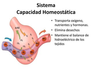 Sistema
Capacidad Homeostática
• Transporta oxigeno,
nutrientes y hormonas.
• Elimina desechos
• Mantiene el balance de
hidroeléctrico de los
tejidos
 