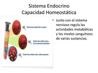 Sistema Endocrino
Capacidad Homeostática
• Junto con el sistema
nervioso regula las
actividades metabólicas
y los niveles sanguíneos
de varias sustancias.
 