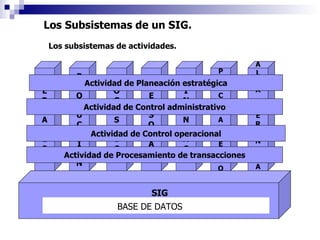 Los Subsistemas de un SIG. M E R C A D E O P R O D U C C I O N L O G I S T I C A P E R S O N A L F I N A N Z A S P R O C E S A M I E N T O A L T A G E R E N C I A Actividad de Control administrativo Actividad de Control operacional Actividad de Planeación estratégica Actividad de Procesamiento de transacciones SIG BASE DE DATOS Los subsistemas de actividades.  