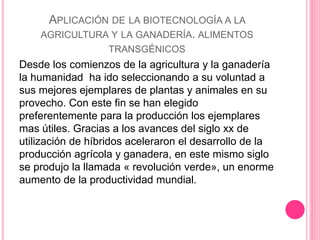 APLICACIÓN DE LA BIOTECNOLOGÍA A LA
AGRICULTURA Y LA GANADERÍA. ALIMENTOS
TRANSGÉNICOS
Desde los comienzos de la agricultura y la ganadería
la humanidad ha ido seleccionando a su voluntad a
sus mejores ejemplares de plantas y animales en su
provecho. Con este fin se han elegido
preferentemente para la producción los ejemplares
mas útiles. Gracias a los avances del siglo xx de
utilización de híbridos aceleraron el desarrollo de la
producción agrícola y ganadera, en este mismo siglo
se produjo la llamada « revolución verde», un enorme
aumento de la productividad mundial.
 