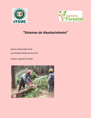 “Sistemas de Abastecimiento”
Alumna: Eliana Molar Peña
Ing. Eduardo Montes de Oca Cano
Carrera: Ingeniería Forestal
 